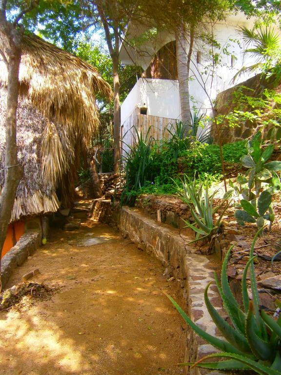 Lo Cósmico Zipolite Quarto foto