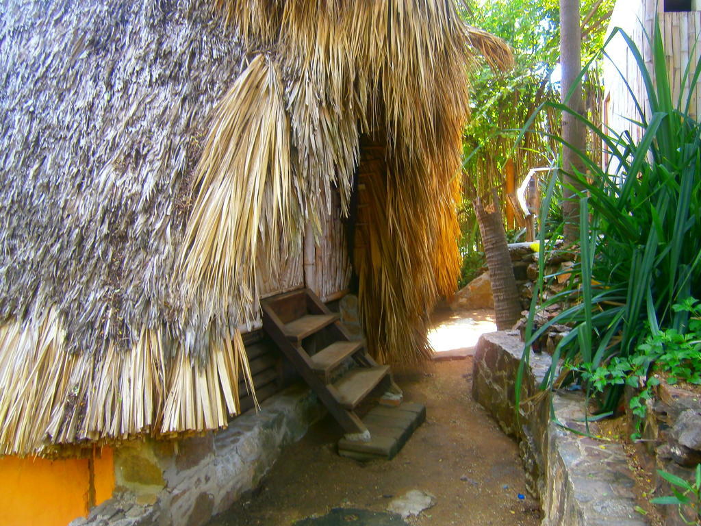 Lo Cósmico Zipolite Quarto foto