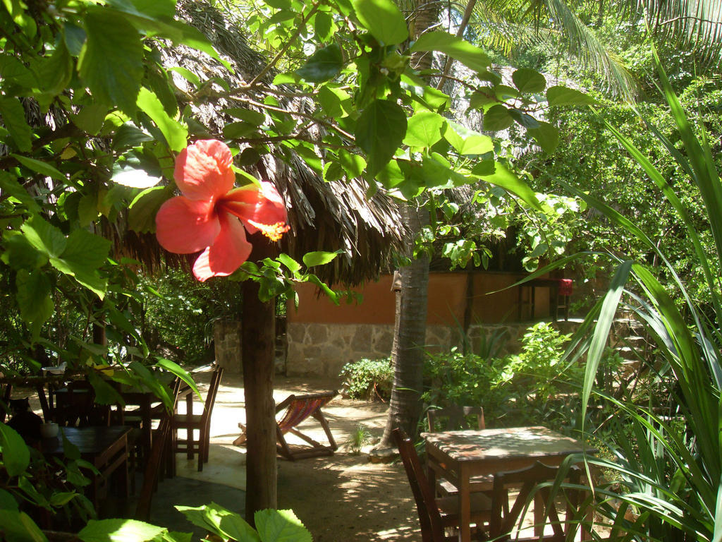 Lo Cósmico Zipolite Exterior foto