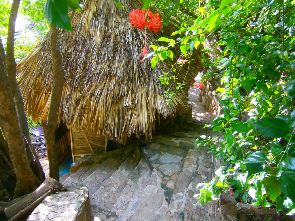 Lo Cósmico Zipolite Exterior foto